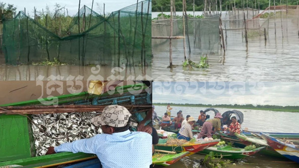 IMG_20240803_185002_568