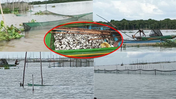 IMG_20240805_131102_545