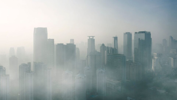 IMG_20241110_161757_958