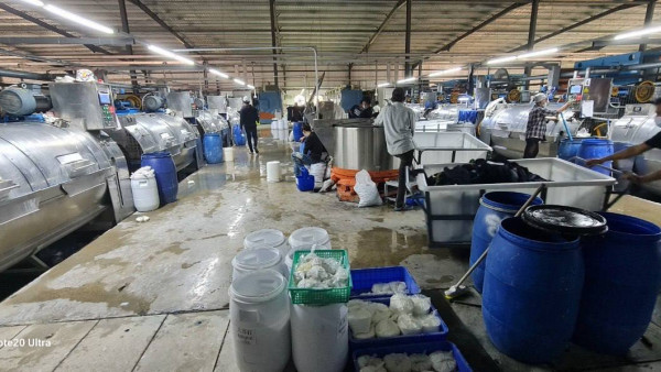 IMG_20250201_140038_469